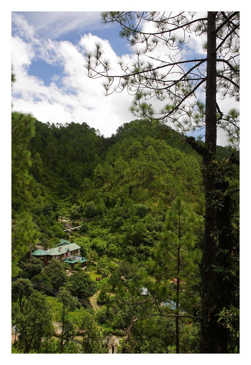 Saffronstays Himalaica, Nainital Bhowali Exterior foto